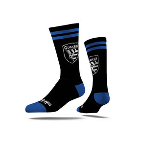 San Jose Earthquakes