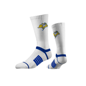 South Dakota State University