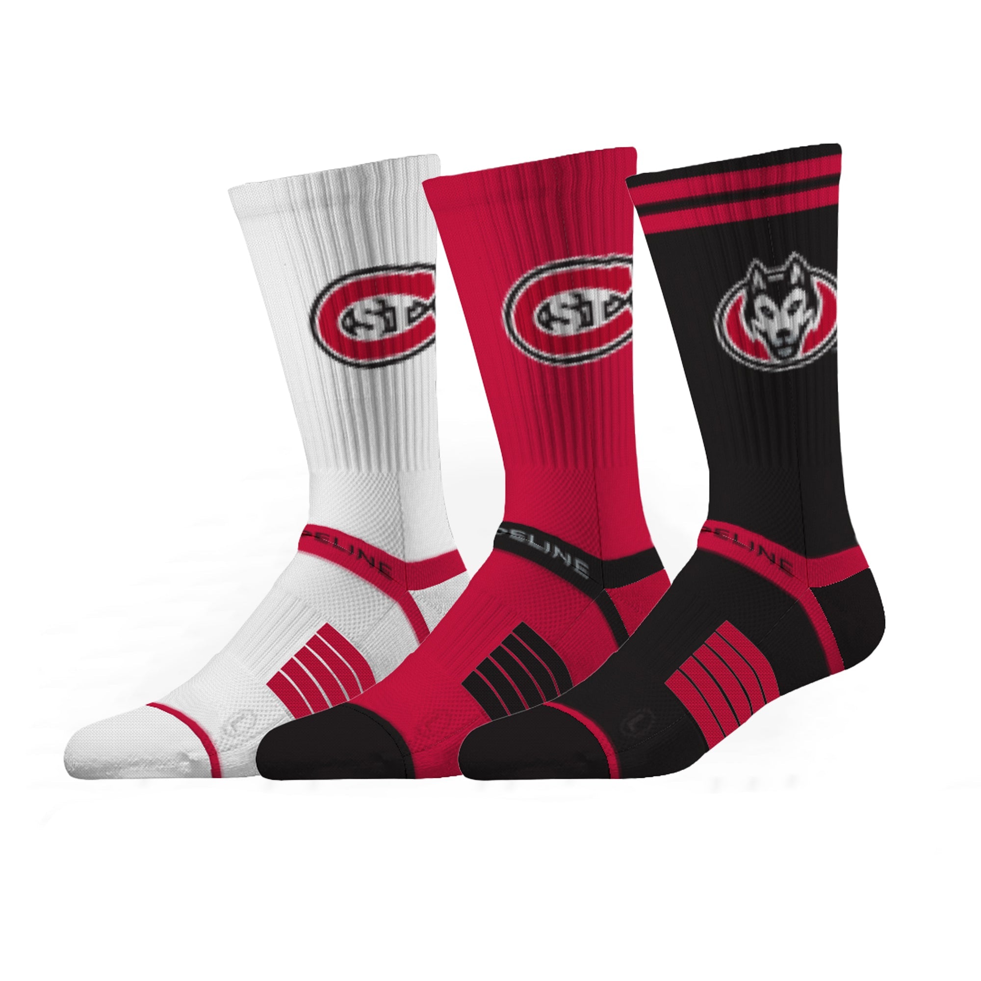 St. Cloud State University