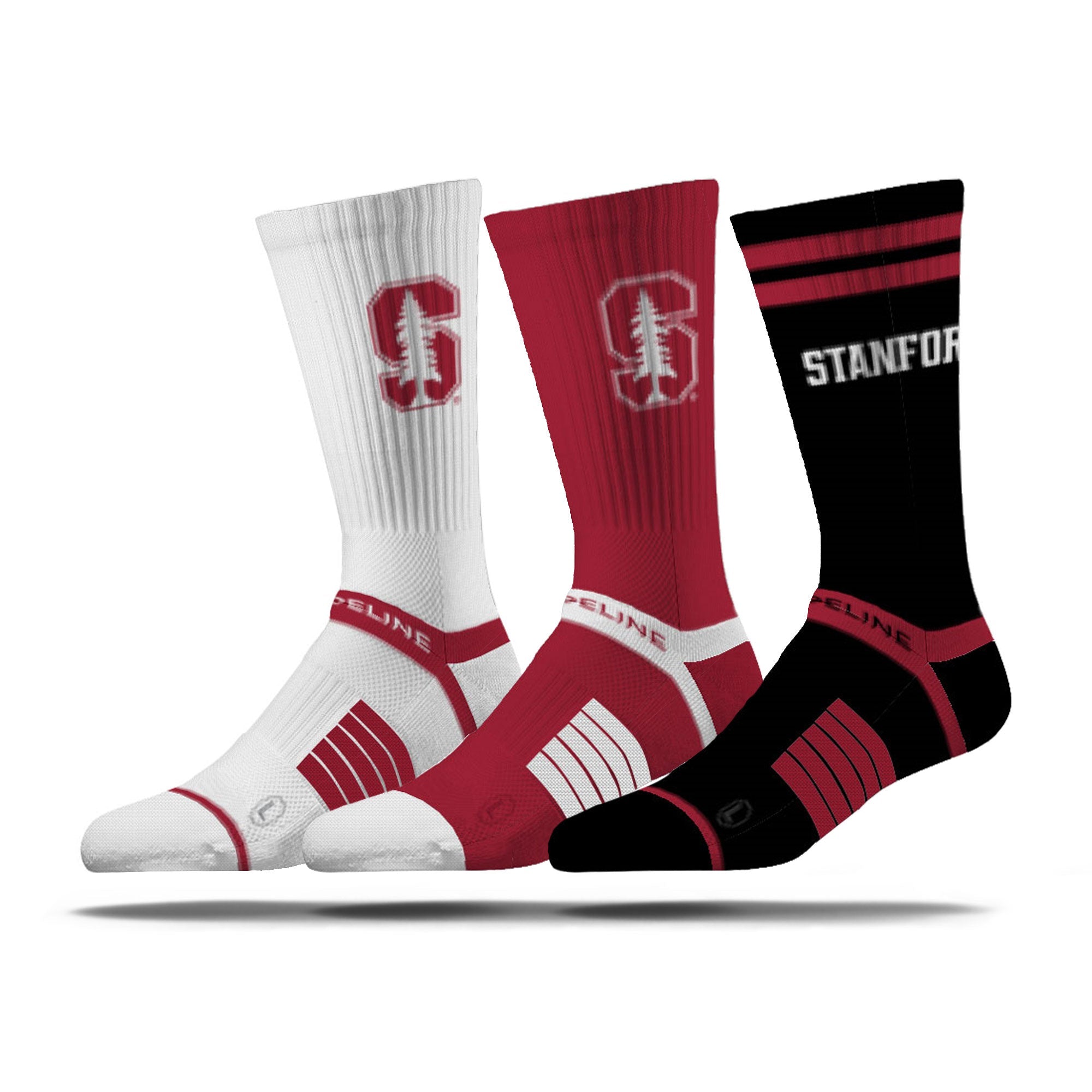 Stanford University