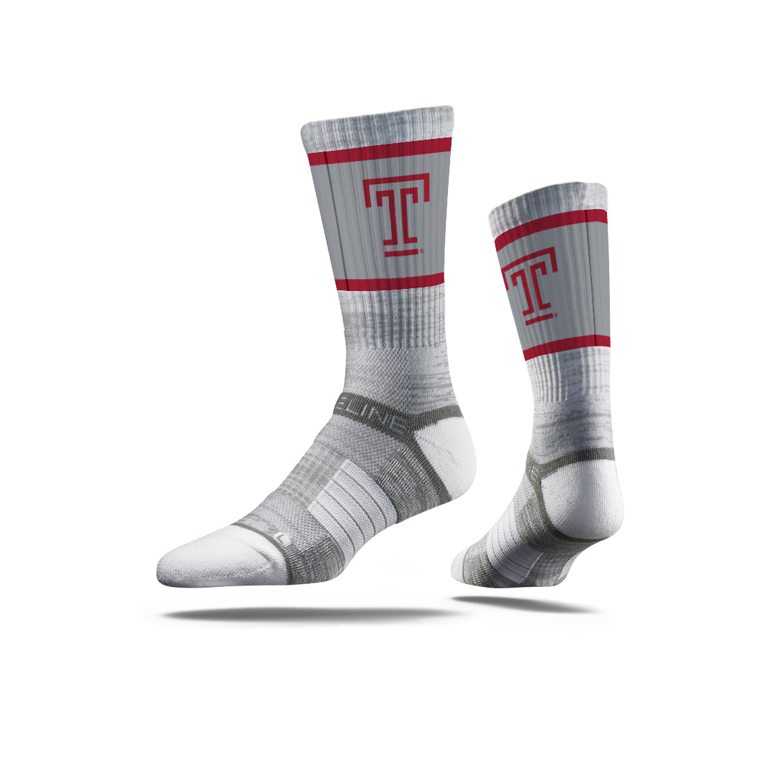 Temple University