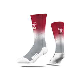Temple University