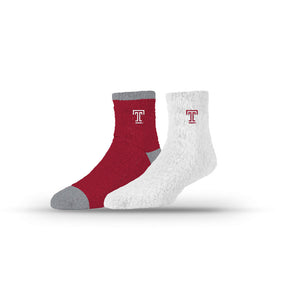 Temple University
