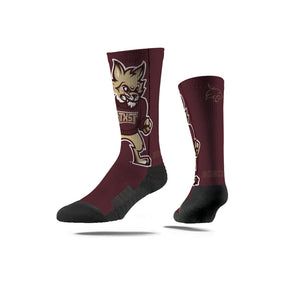Texas State University