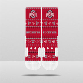 NCAA Winter Holiday Sweater Crews