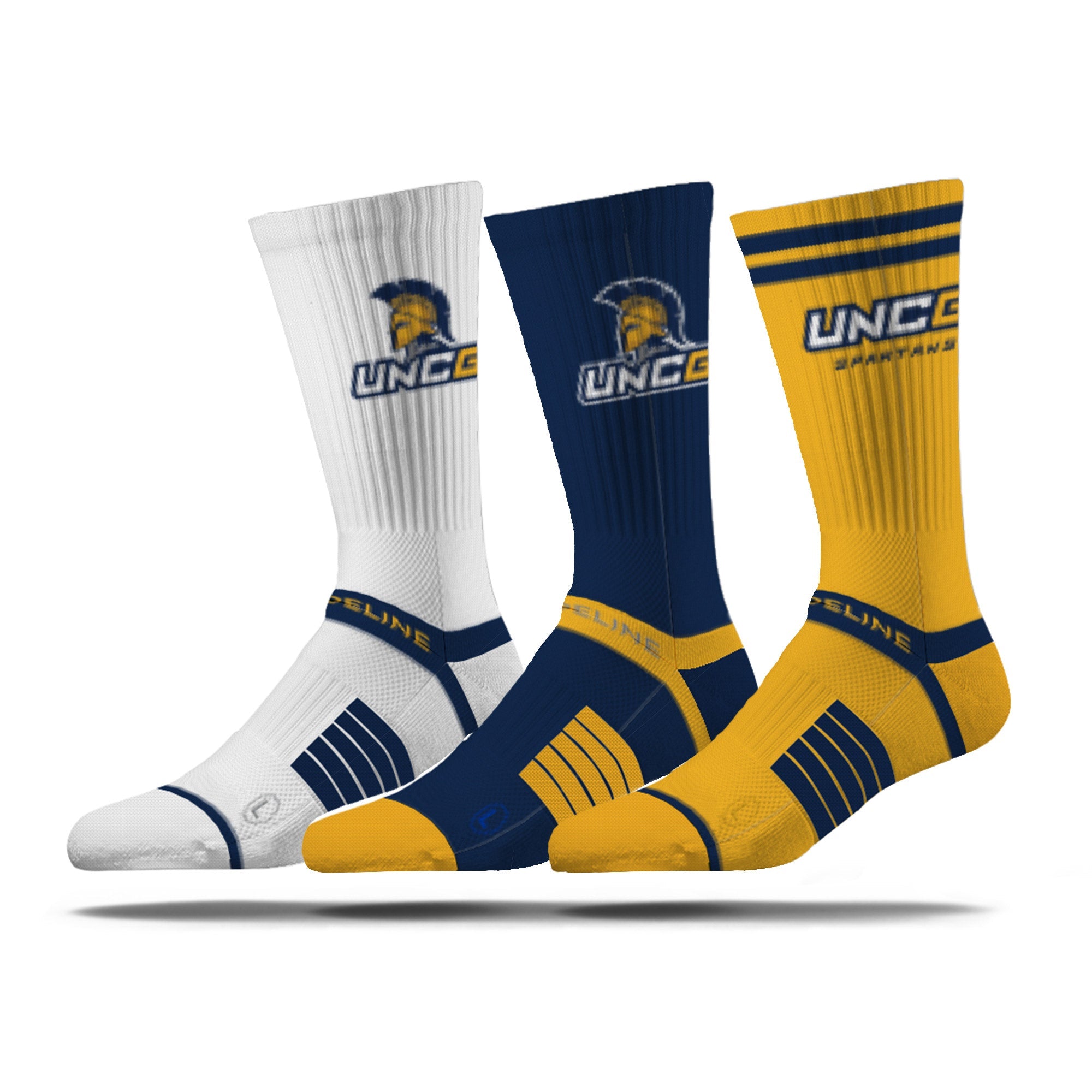 The University of North Carolina at Greensboro