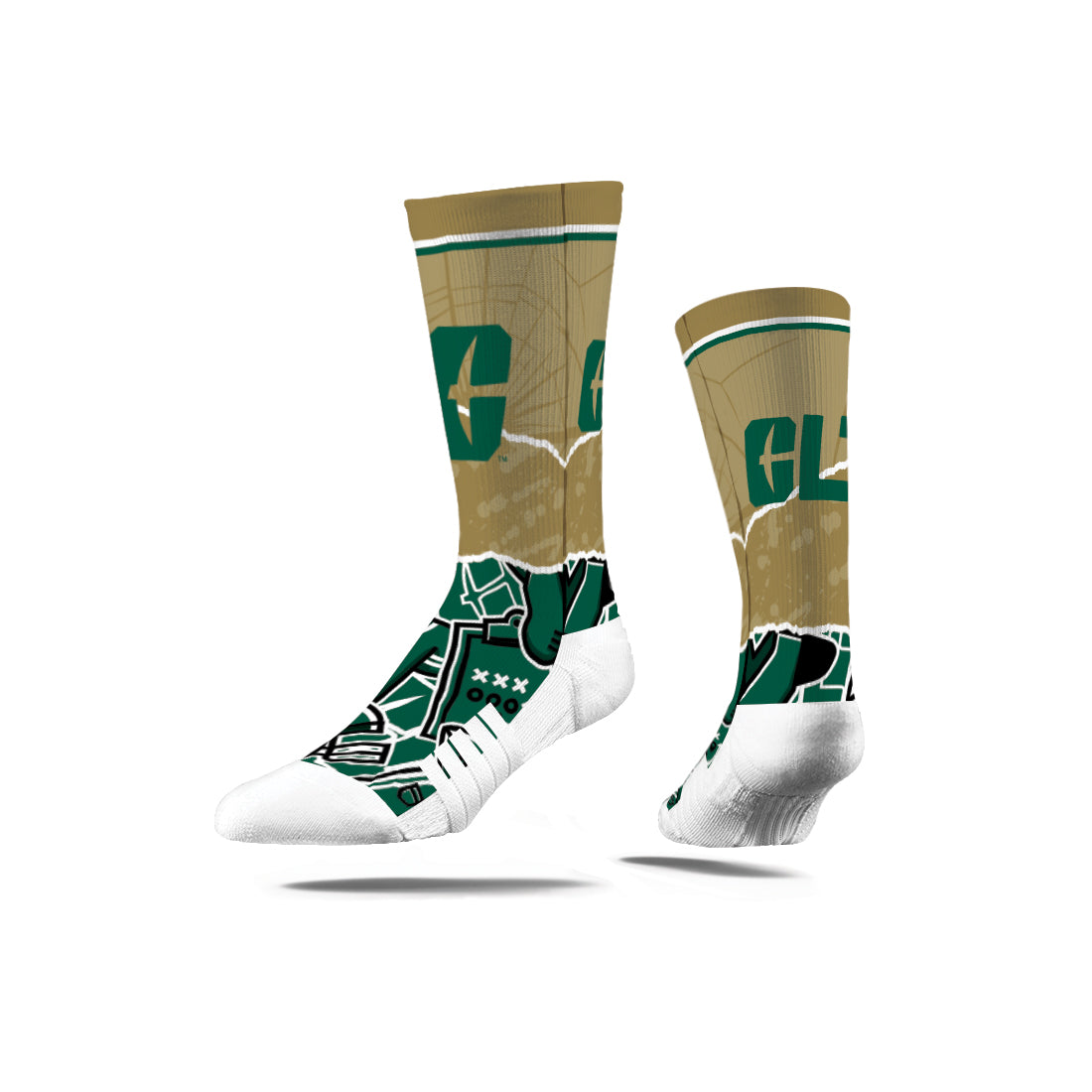 The University of North Carolina at Charlotte