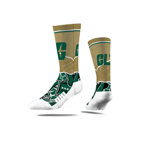 The University of North Carolina at Charlotte