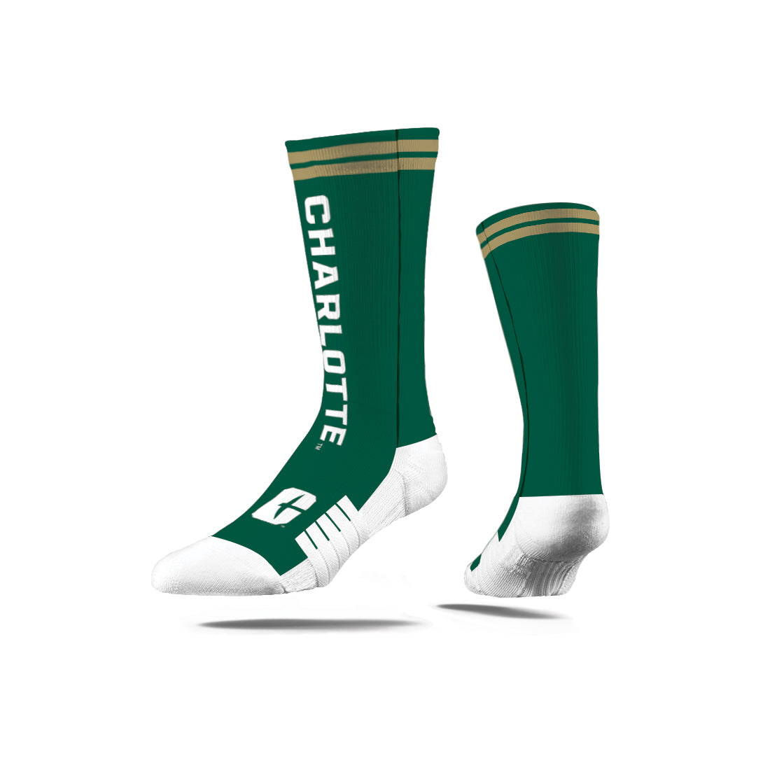 The University of North Carolina at Charlotte