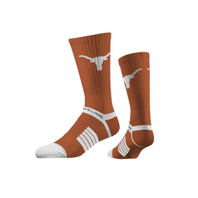 The University of Texas at Austin