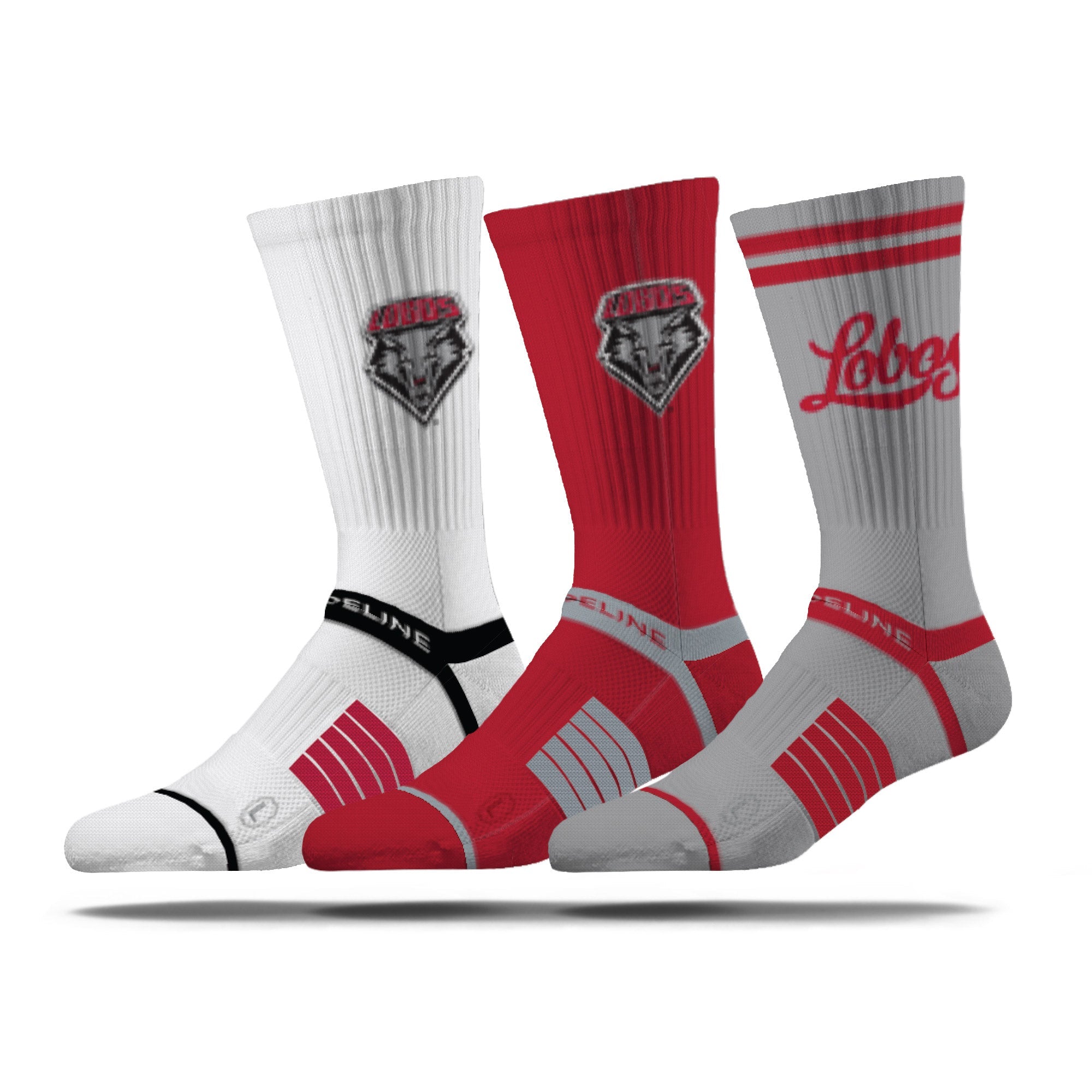 The University of New Mexico