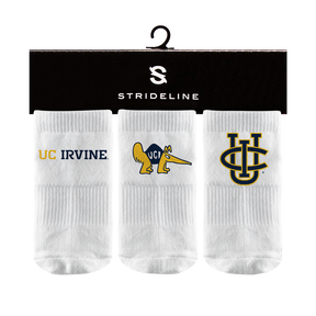 University of California Irvine