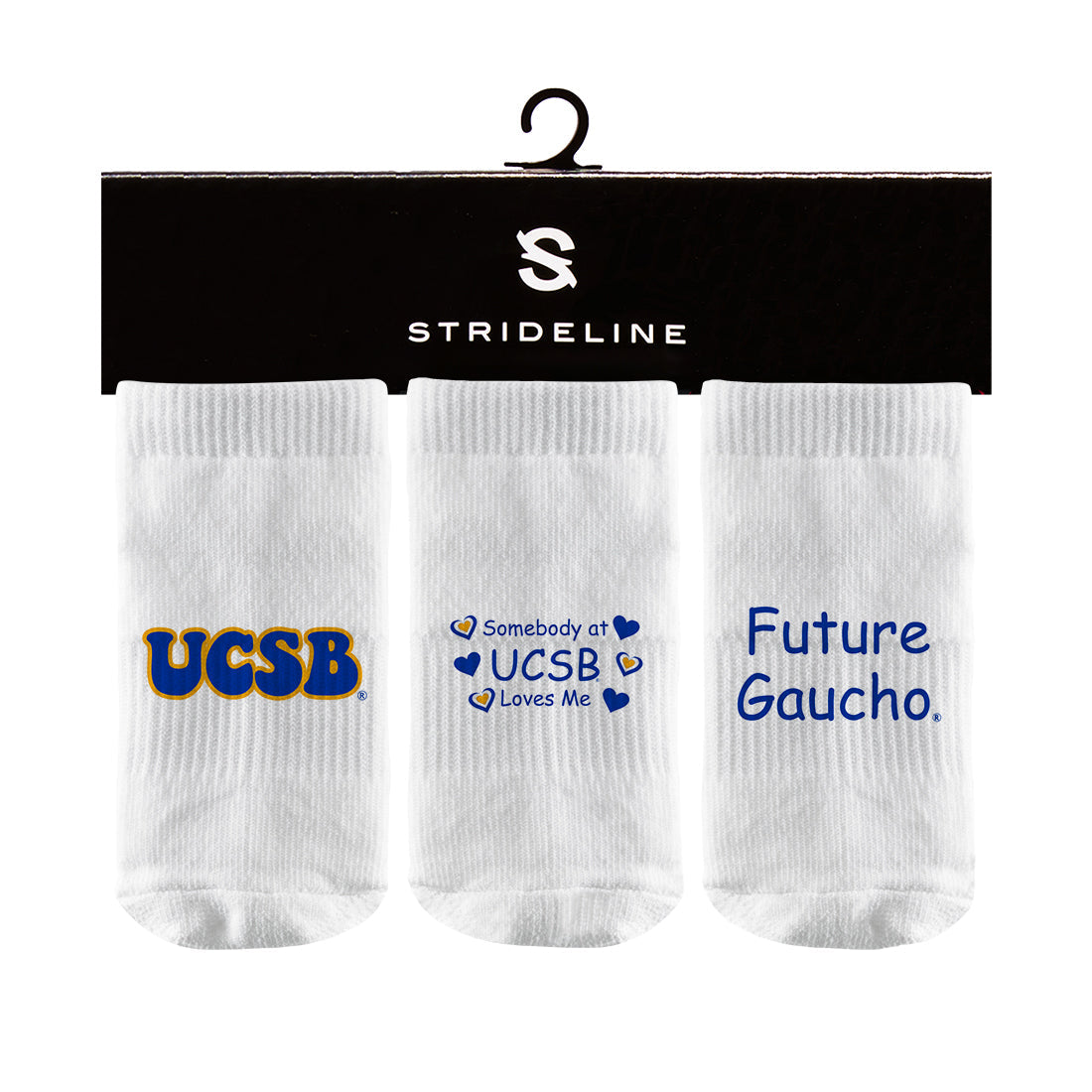 University of California Santa Barbara
