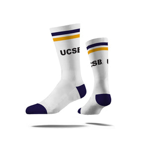 University of California Santa Barbara