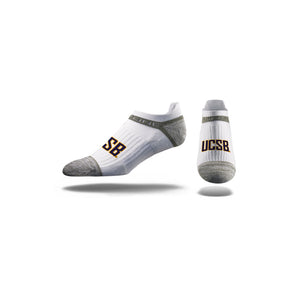 University of California Santa Barbara