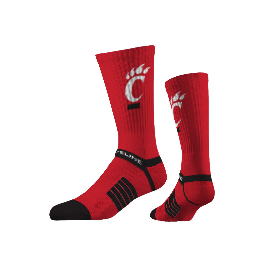 University of Cincinnati