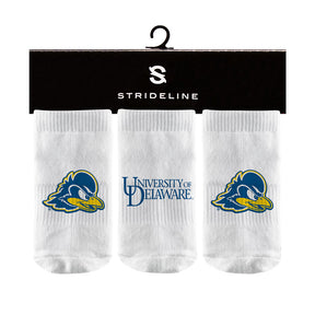 University of Delaware