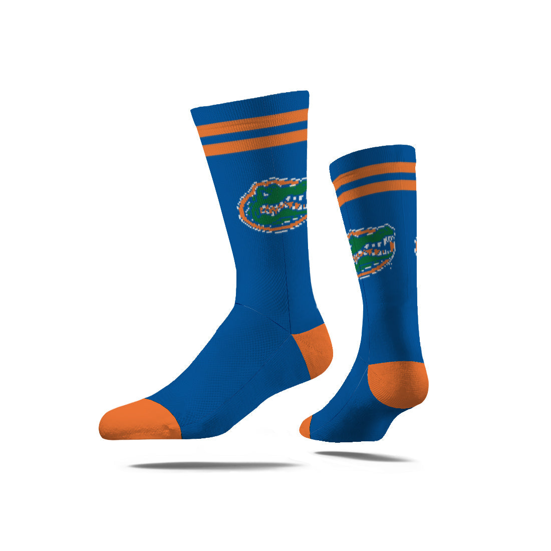 University of Florida