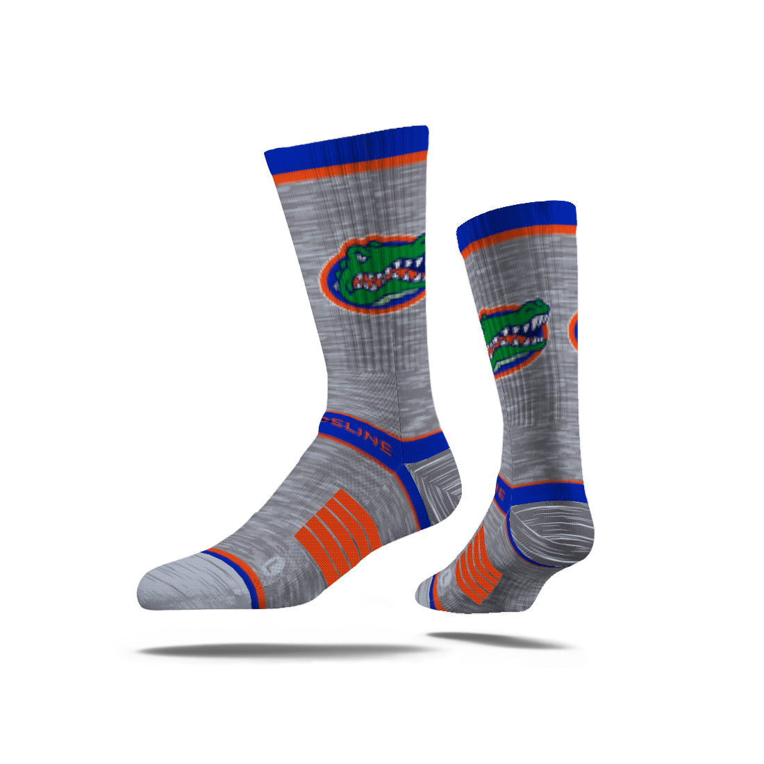 University of Florida