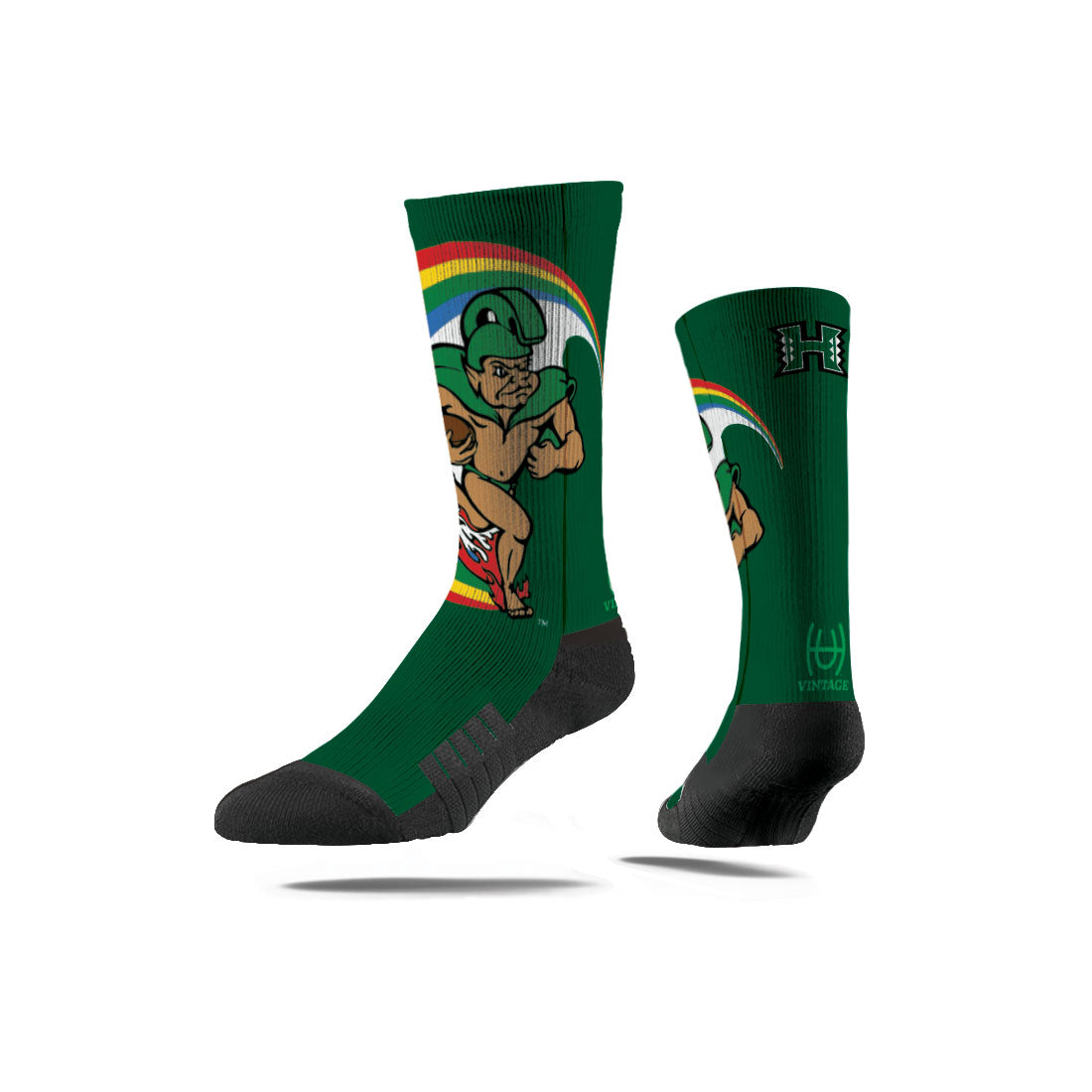 University of Hawaii | Premium Full Sub | Mascot | N02338256ML