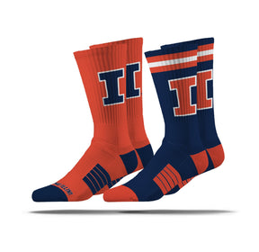 University of Illinois