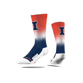 University of Illinois