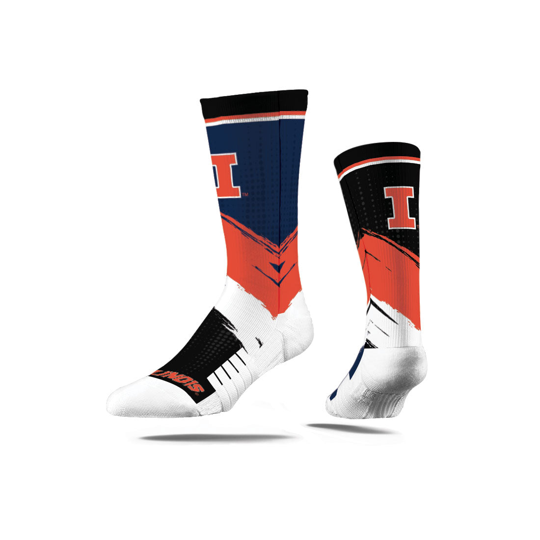 University of Illinois
