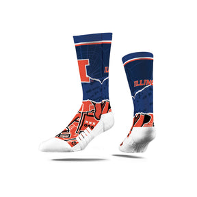 University of Illinois