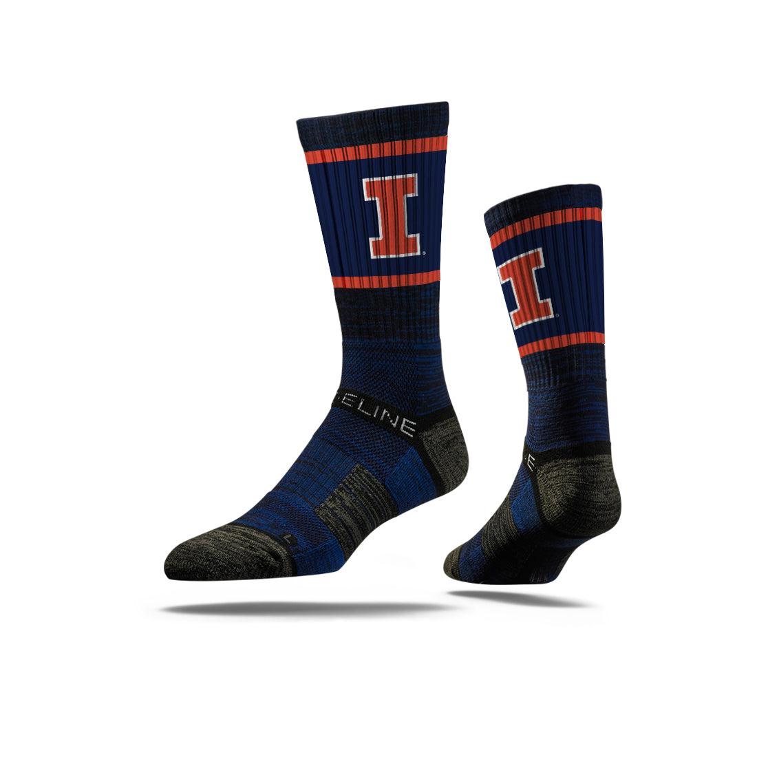 University of Illinois