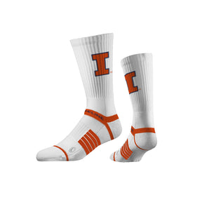 University of Illinois