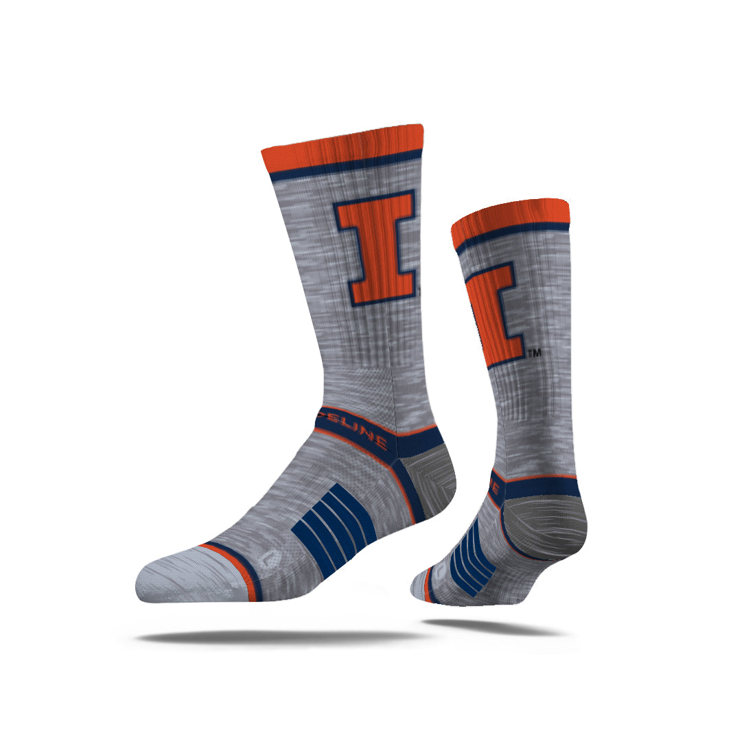 University of Illinois