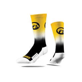 University of Iowa