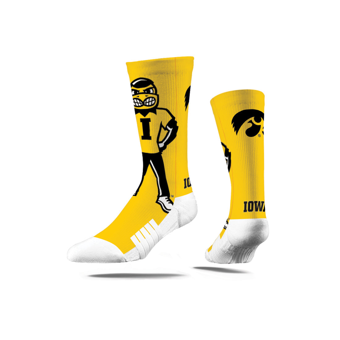 University of Iowa