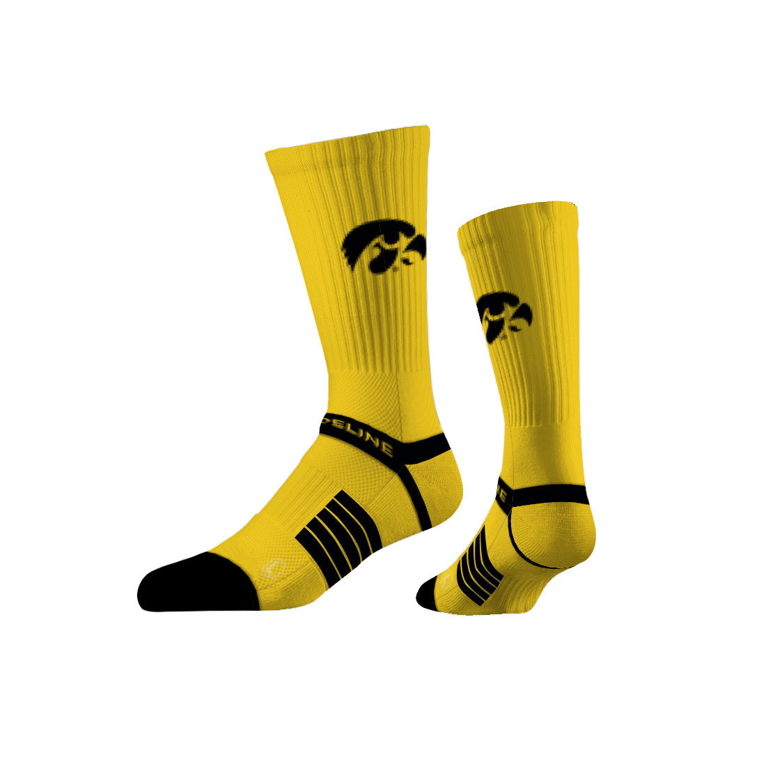 University of Iowa