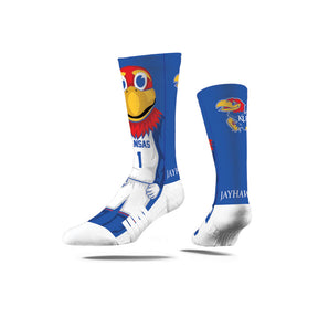 University of Kansas
