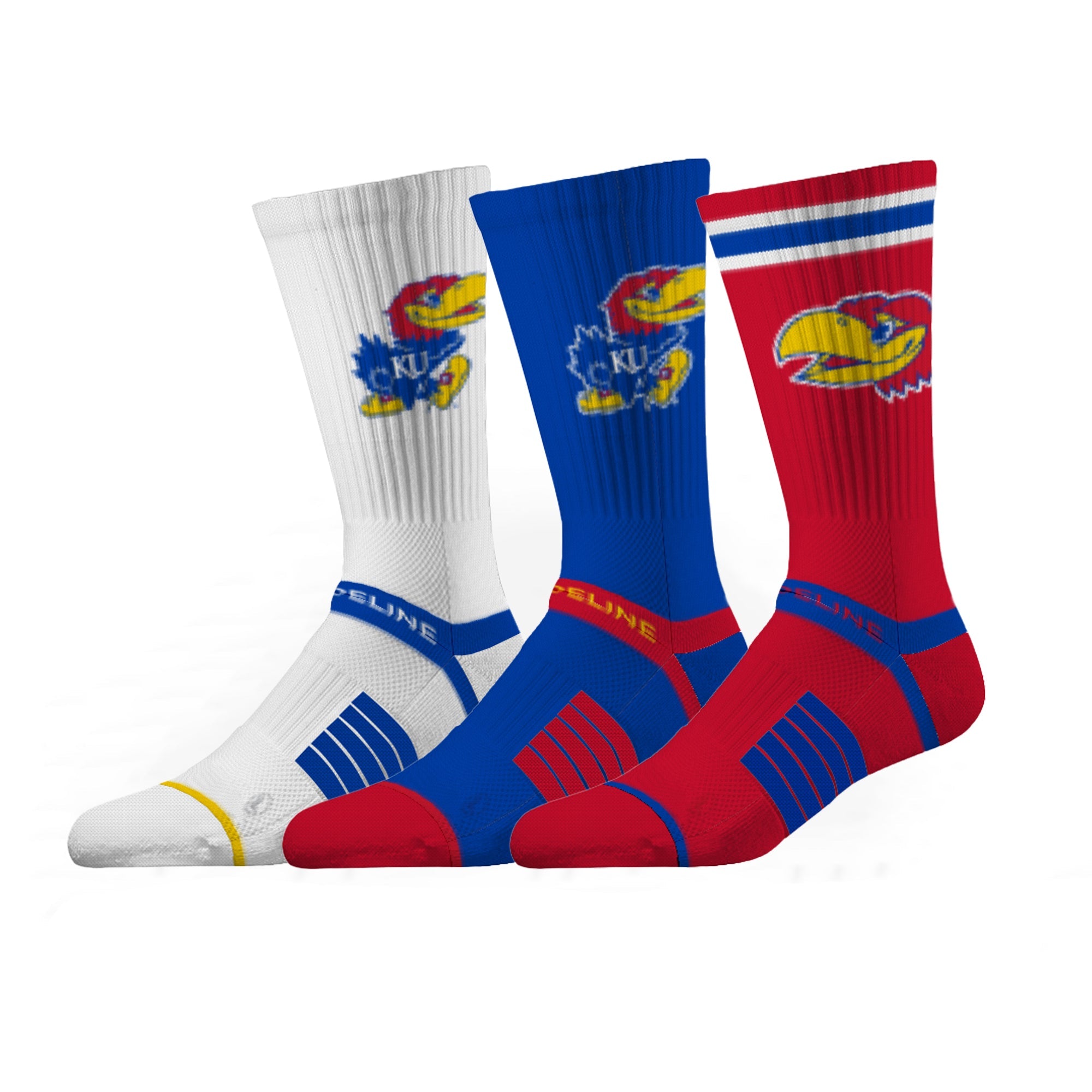 University of Kansas