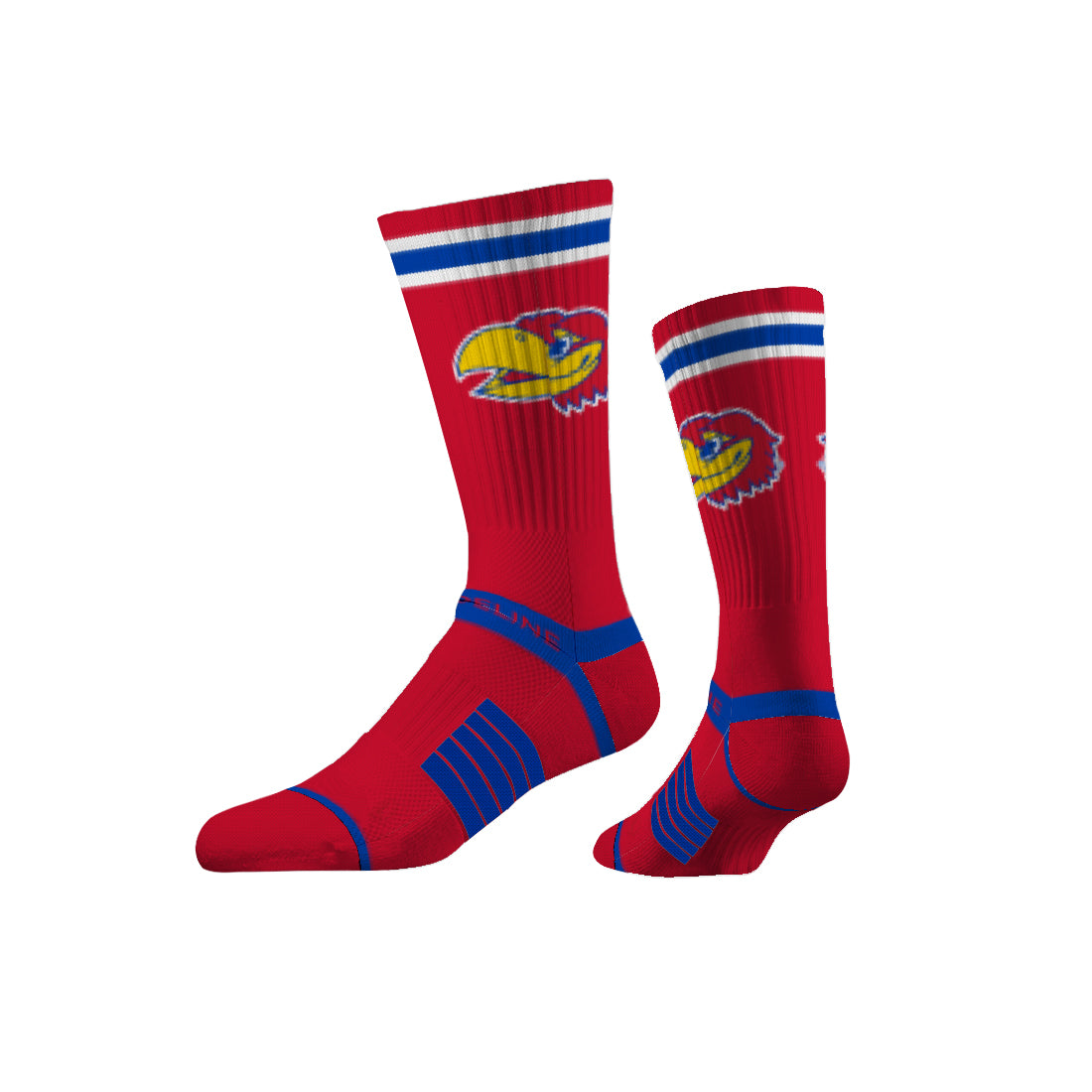 University of Kansas