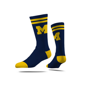 University of Michigan