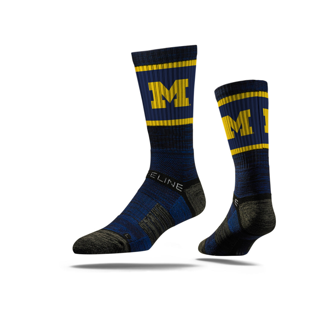 University of Michigan