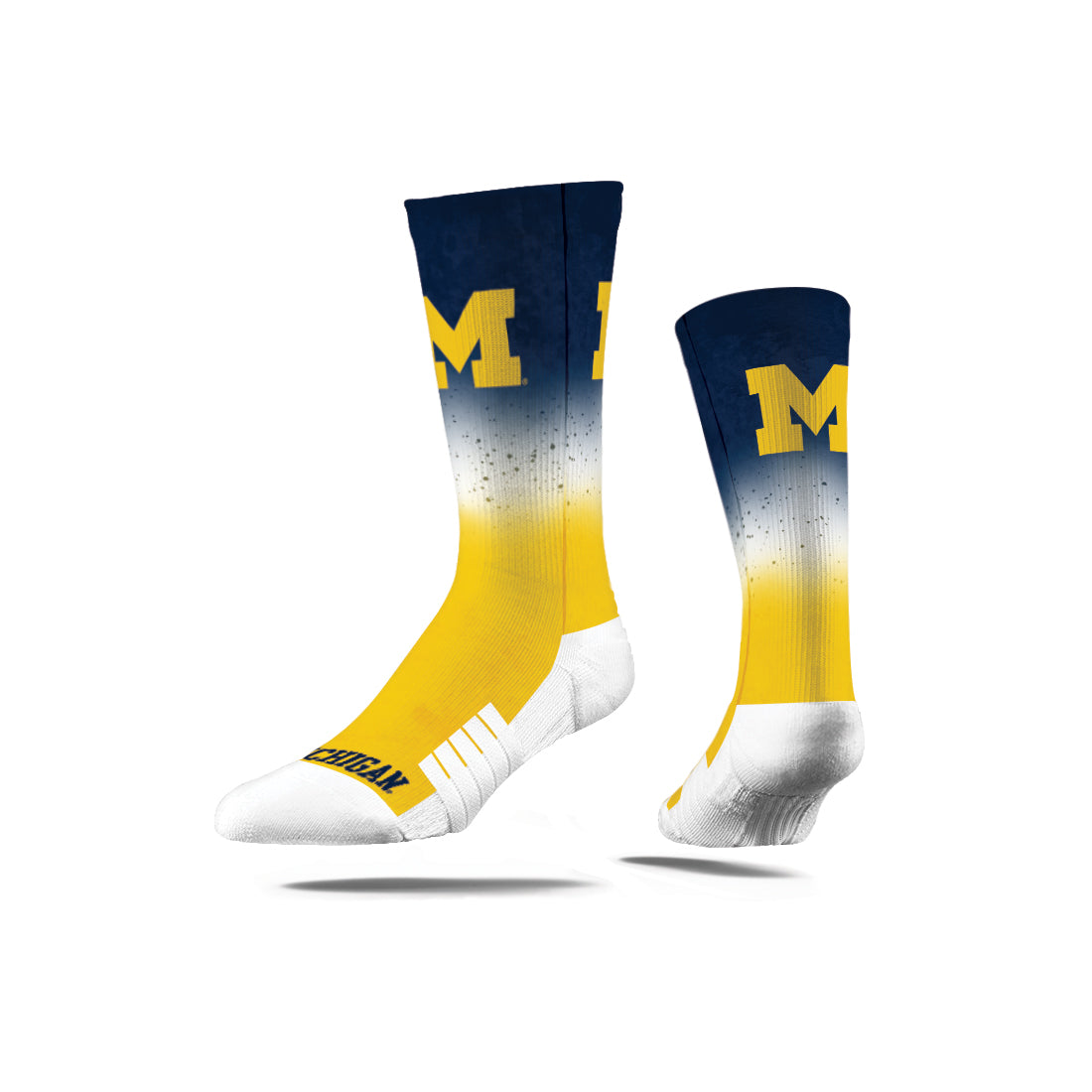 University of Michigan