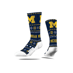 University of Michigan