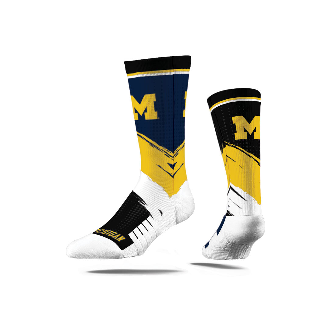 University of Michigan