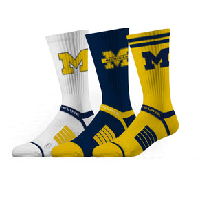 University of Michigan
