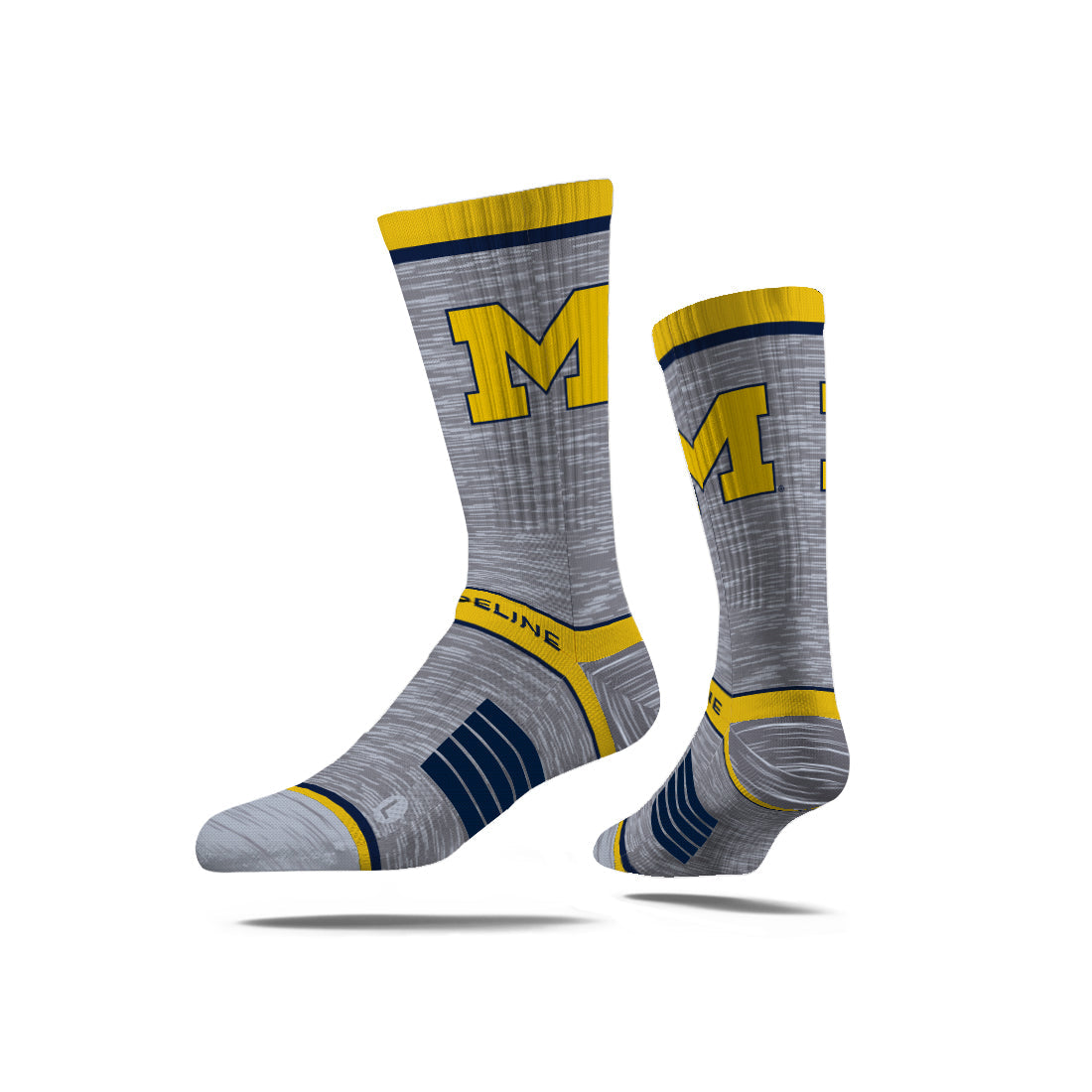 University of Michigan
