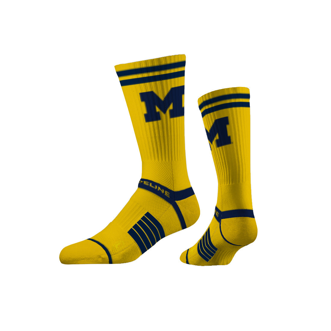 University of Michigan