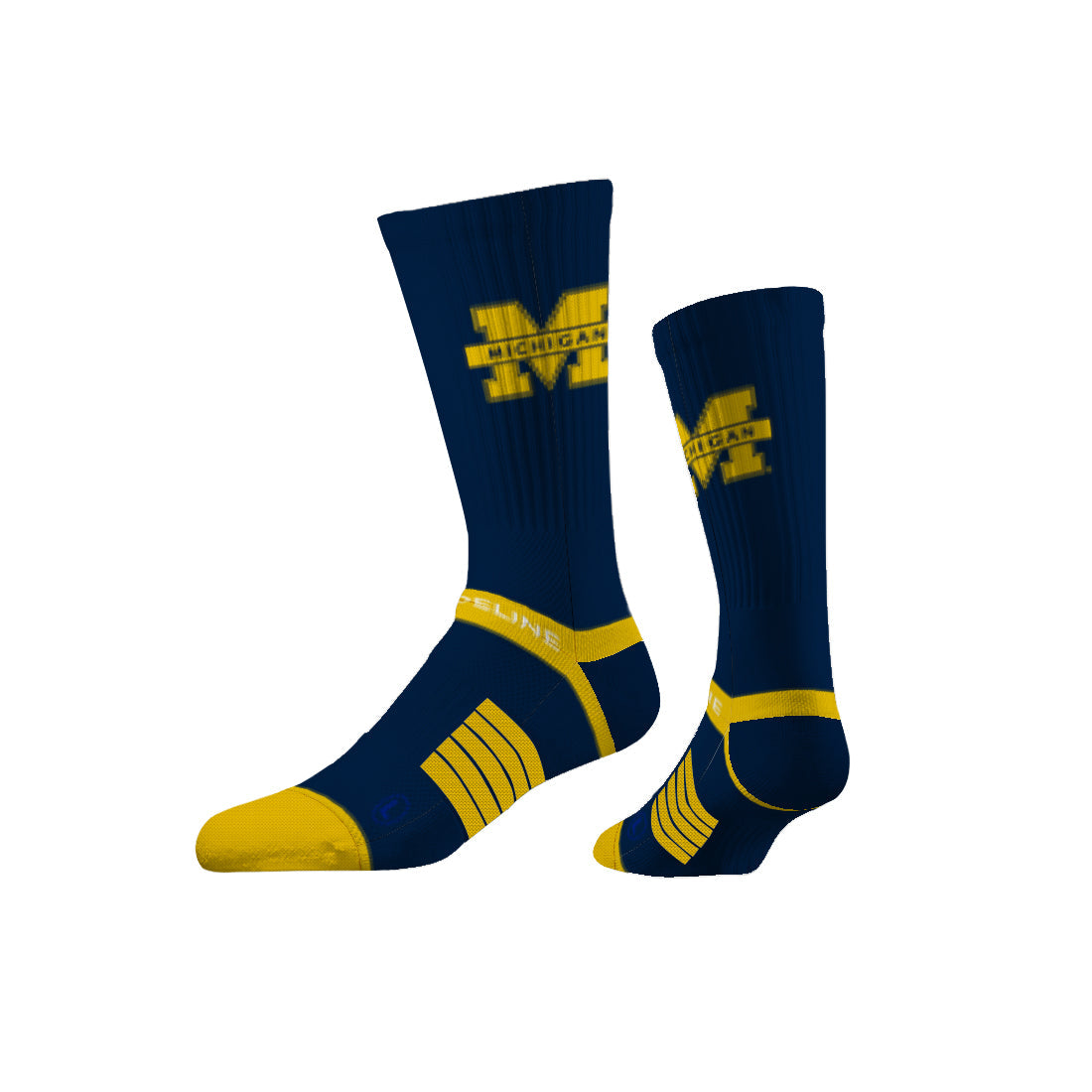 University of Michigan
