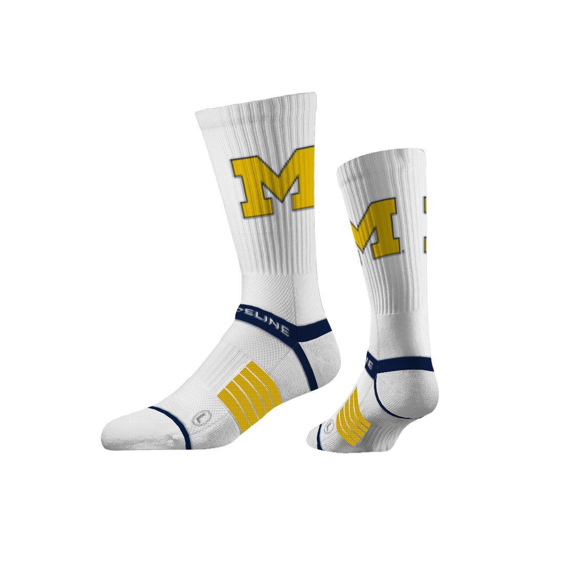 University of Michigan