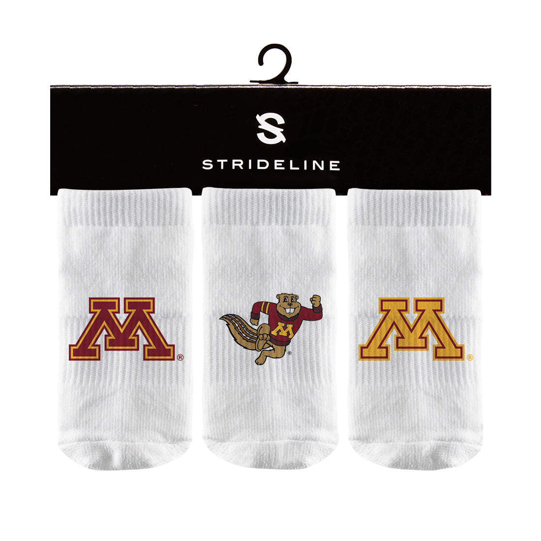University of Minnesota