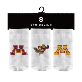 University of Minnesota