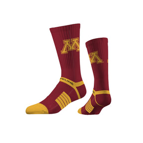 University of Minnesota